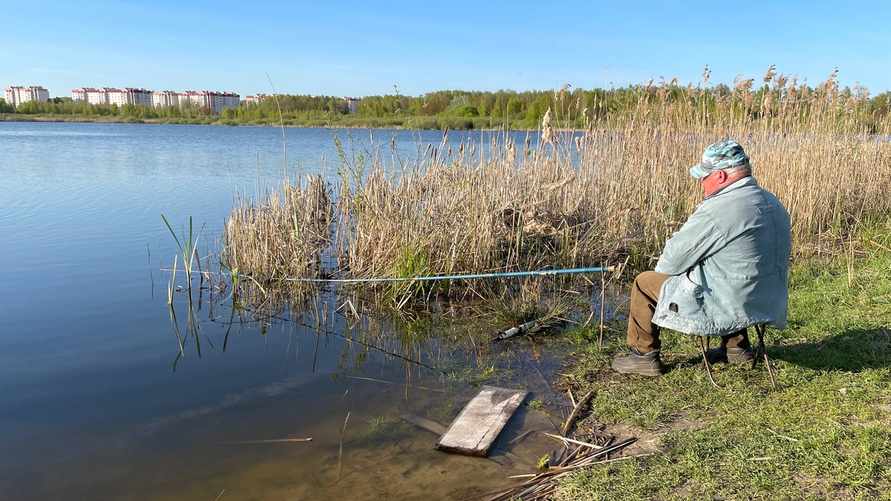 Фото: Телеграф