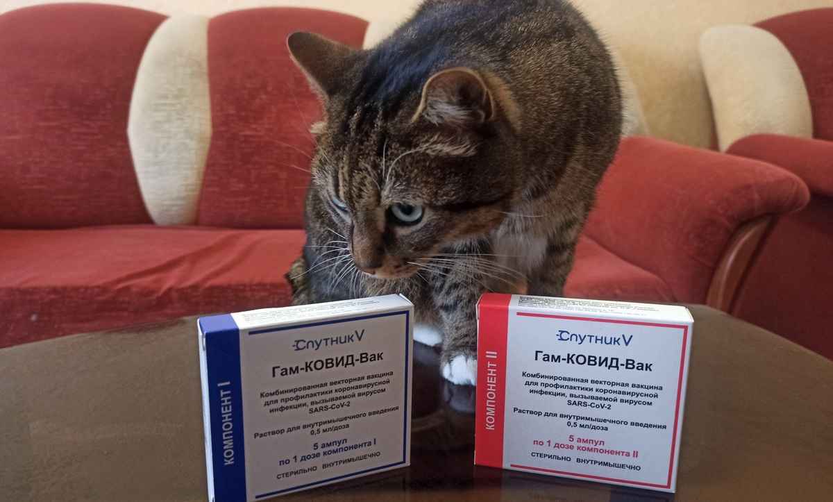 Фото: Телеграф