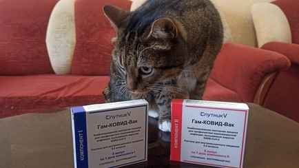 По Беларуси бродит «Кракен». В Минздраве рассказали о ситуации с ковидом в стране