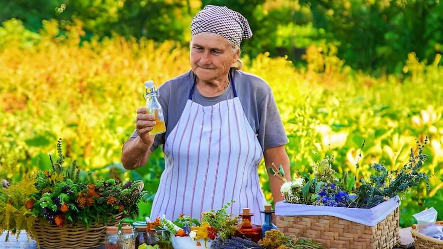 Настои из этих трав советуют пить белорусам сразу после еды. Кому обязательно?