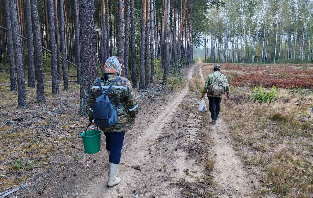 Фото: Телеграф