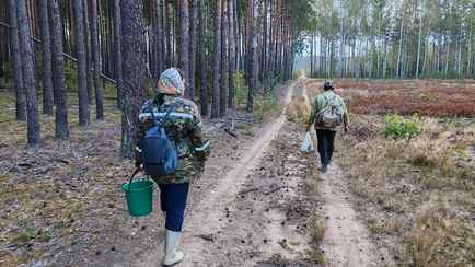 По всей Беларуси ввели ограничения и запреты на посещение леса. В каких районах грозит штраф в Br444?