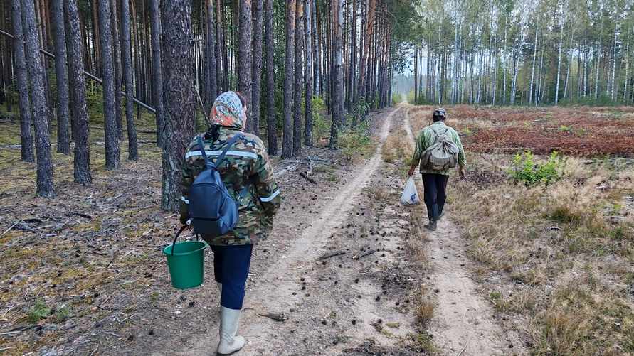 Фото: Телеграф