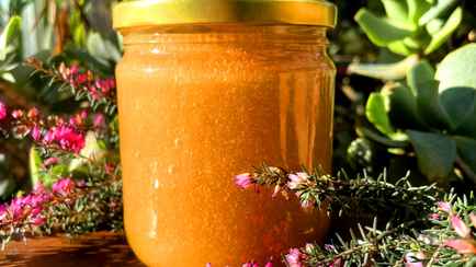 Этот король меда найти очень сложно. Почему белорусам стоит обязательно попробовать?