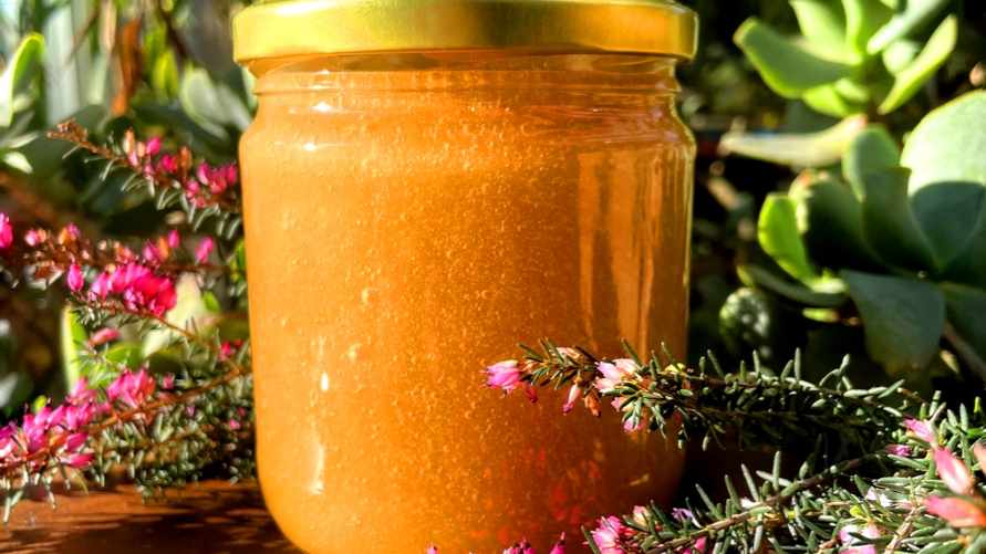 Этот король меда найти очень сложно. Почему белорусам стоит обязательно попробовать?