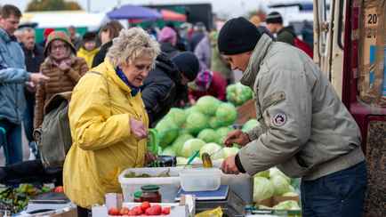 Белорусам предложили продать урожай (и не только) на ярмарках в Минске. Когда и где?