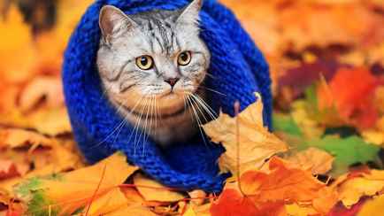 Когда похолодает в Беларуси? Синоптики предупредили о приближении фронта