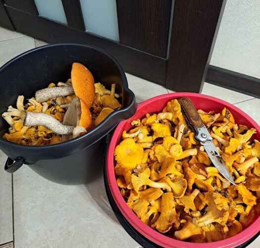 Фото: Александр Савицкий