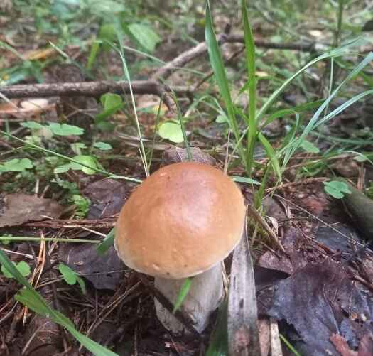 Фото: Татьяна Аксенова