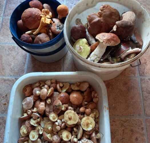 Фото: Татьяна Аксенова