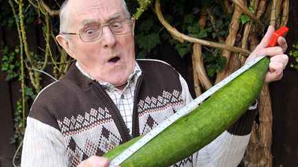 Что приготовить из переросших и даже желтых огурцов? Нашли 5 вкусных рецептов