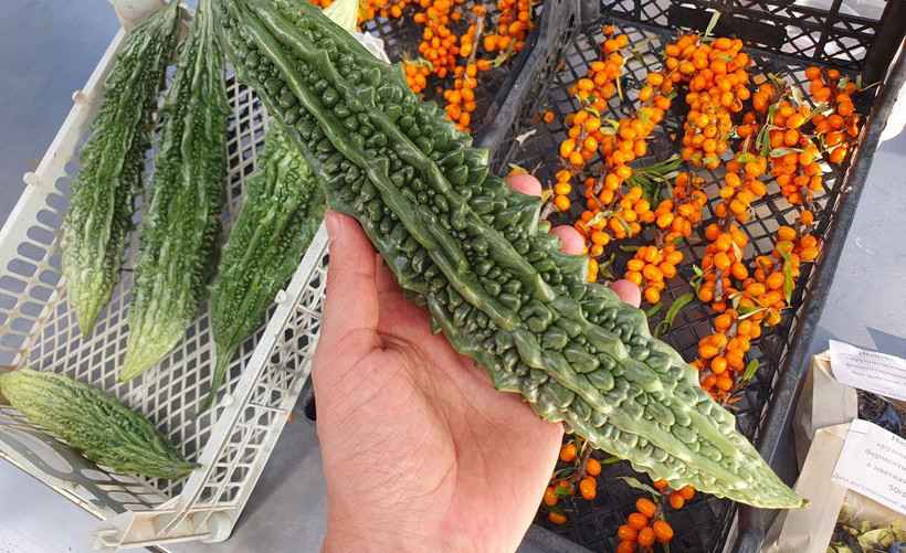 Фото с сайта onliner.by