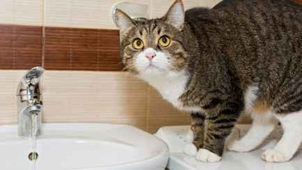 Когда белорусов могут обязать доплатить за воду за три года? В «Минскводоканале» поделились историями