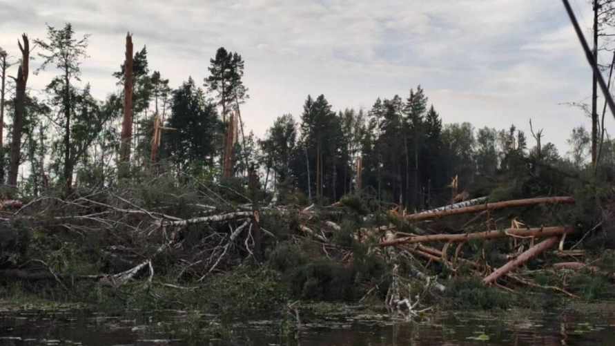 Фото: vitbichi.by