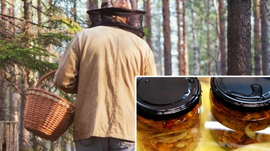 Замаринуйте эти грибы как огурцы. Нашли новый рецепт вкусной закатки на зиму