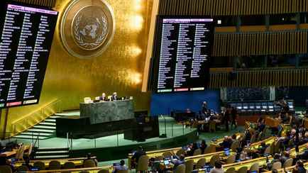 ООН призвала страны мира не высылать «сотни тысяч» белорусов с просроченными паспортами