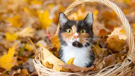 Беларусь станет «довольно жарким местом»? Метеоролог предупредил об аномальной погоде до 25 сентября