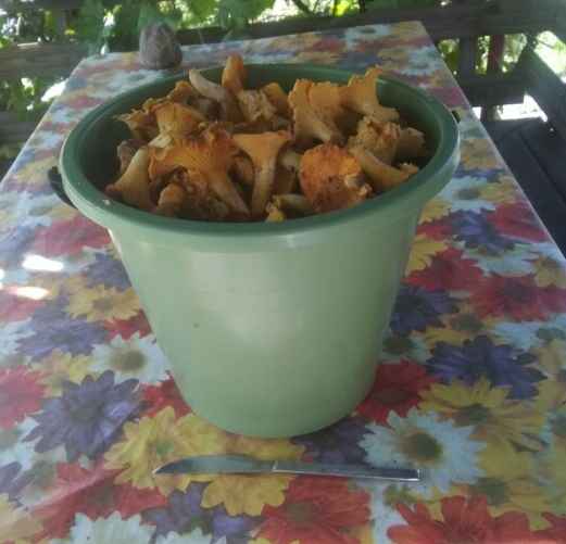 Фото: Алексей Петров