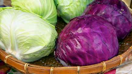 Чем отличается краснокочанная капуста от белой? Вот какую лучше есть всем белорусам