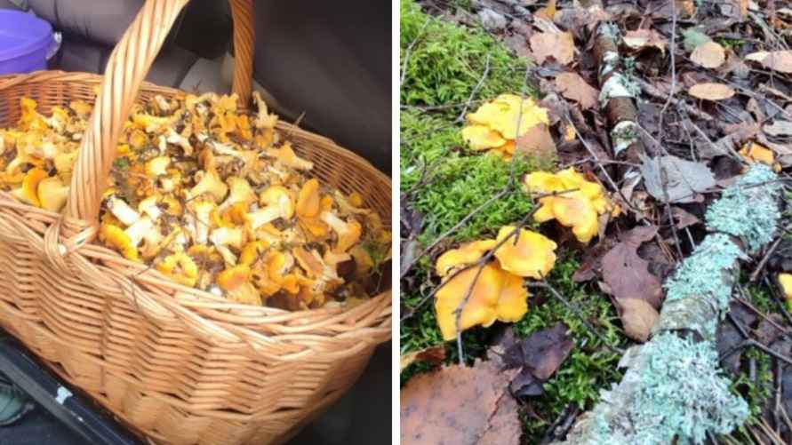 Фото: Диана Иванова