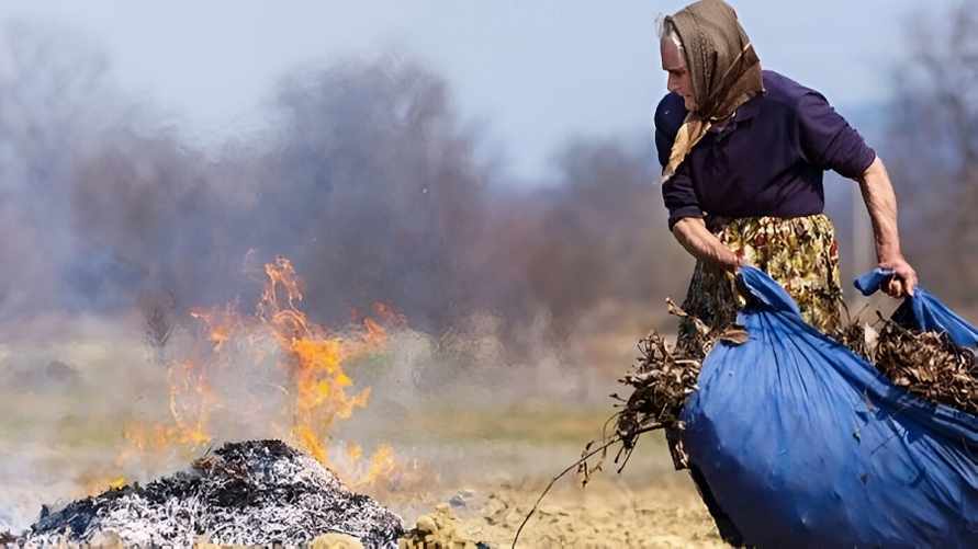 Фото иллюстрационное
