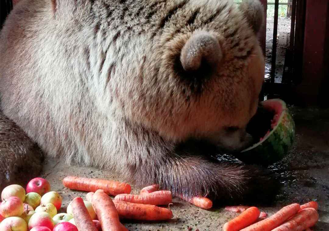 Фото с сайта minskzoo.by