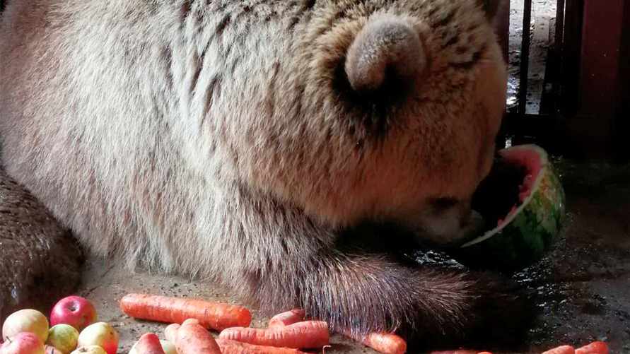 Фото с сайта minskzoo.by