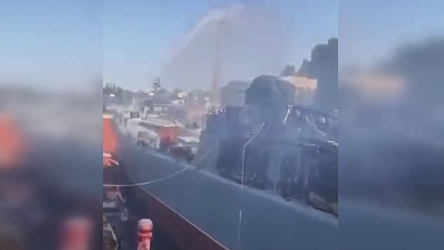 Фото: скриншот видео