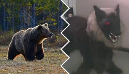 Когда в Беларуси? В Японии изобрели робоволков, чтобы отпугивать медведей