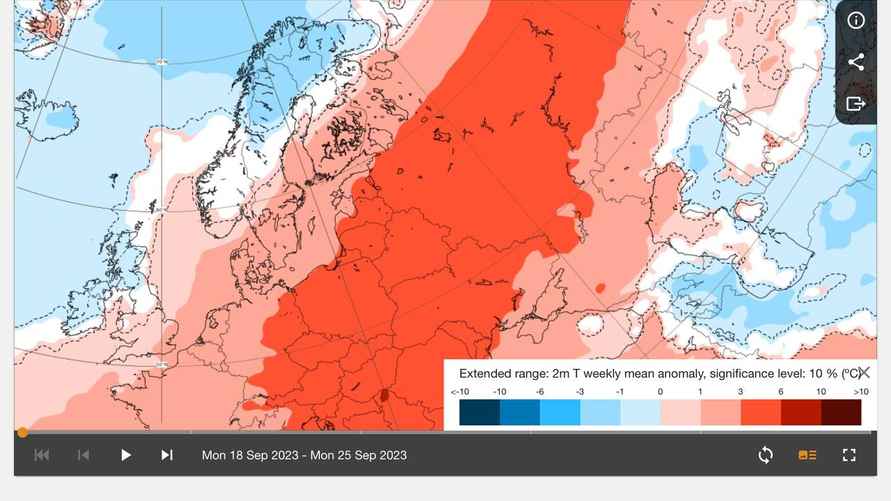 Фото: тг-канал «Надвор’е»