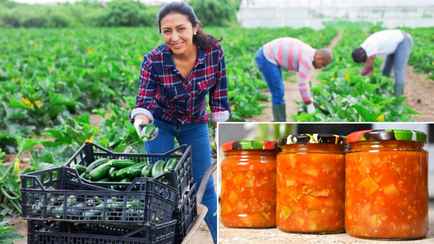 Кабачки по-мексикански. Попробуйте вездесущий овощ в новом образе в виде пикантной закатки