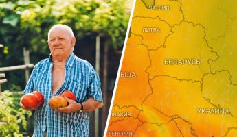 От +2 до +28°C. Что белорусам надеть на выходных из-за «средиземноморских масс» и спасать ли помидоры?