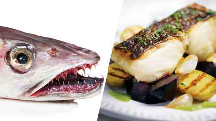 Эта любимая белорусами рыба на самом деле выглядит ужасно. Когда от нее стоит отказаться, а кому есть обязательно?