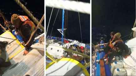 В Тихом океане акулы потопили катамаран, на котором были россияне