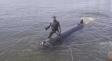 Появилось видео испытаний нового украинского подводного дрона «Маричка»