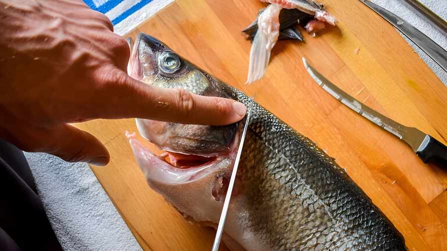 Выбрасываете рыбьи головы? Зря. Нашли 3 способа применить их с пользой