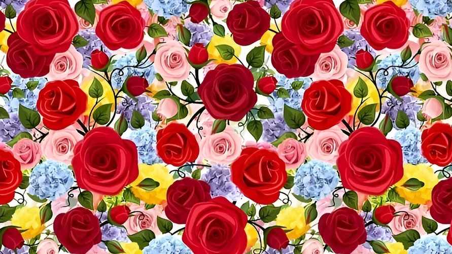 Обрезанная иллюстрация. Полностью смотрите ниже.