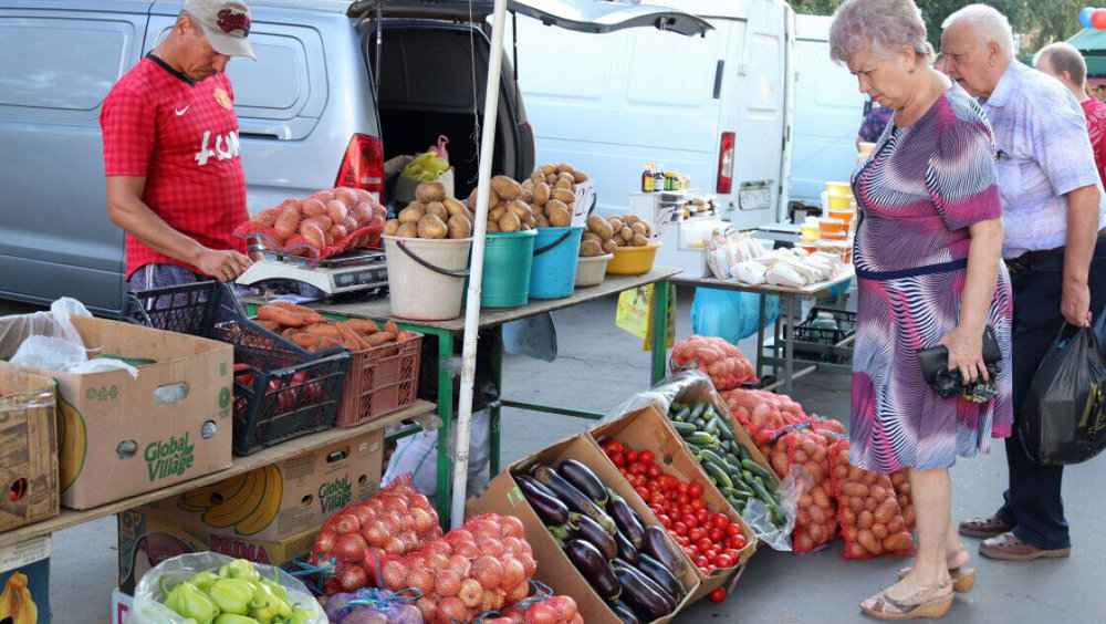 Кабачки от Br1, лук от Br1,5 – Узнали, почем продают овощи и фрукты на ярмарках в Беларуси