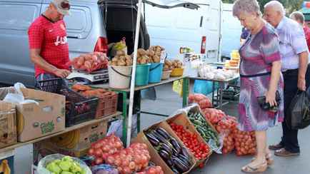 Кабачки от Br1, лук от Br1,5 – Узнали, почем продают овощи и фрукты на ярмарках в Беларуси