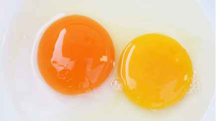 Почему одни желтки оранжевые, а другие — желтые? Узнали, какие полезнее