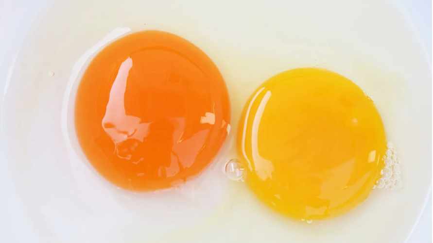 Почему одни желтки оранжевые, а другие — желтые? Узнали, какие полезнее