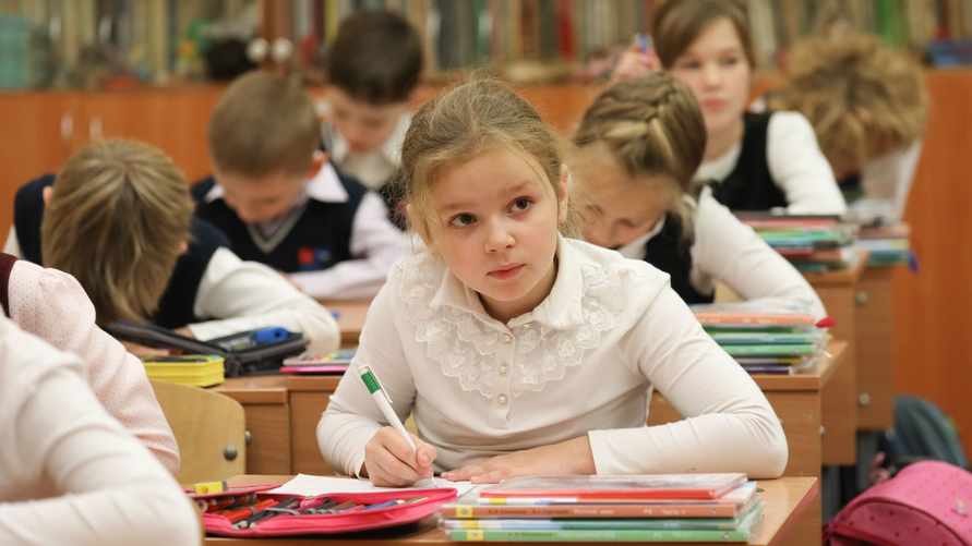 Фото иллюстрационное: Александр Глуз / "Петербургский дневник"