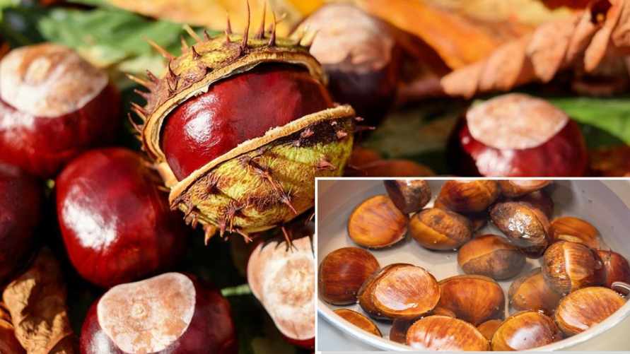 Зачем осенью варить каштаны? Понадобится всего 10 штук и 15 минут