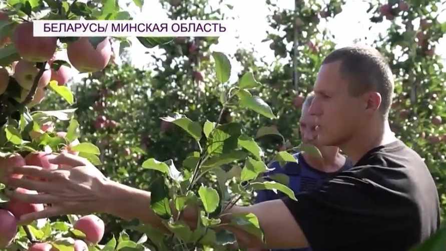 Фото: скриншот видео "Мир 24"