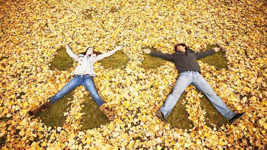 Оплата налогов, рост пенсий и пособий, большие выходные. К чему еще готовится белорусам в ноябре?