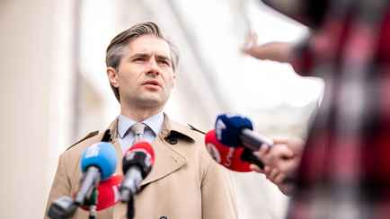 Литва «де-факто» ввела против белорусов ограничения на границе — Будрис