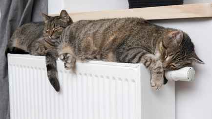 В Гомеле пообещали дать отопление с 9 октября. Когда в жилых домах?