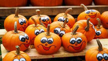 Можно ли замораживать тыкву? Узнали, как это повлияет на ее вкус и текстуру