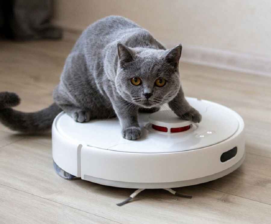 Фото иллюстрационное