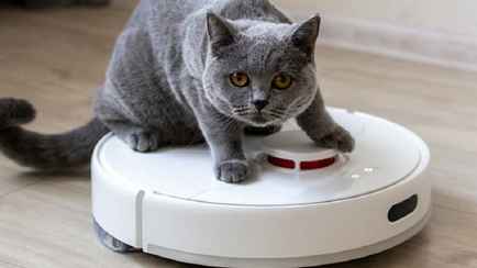 «Восстановят или уже всё?» — Пользователи «умных» устройств Xiaomi пожаловались на массовый сбой